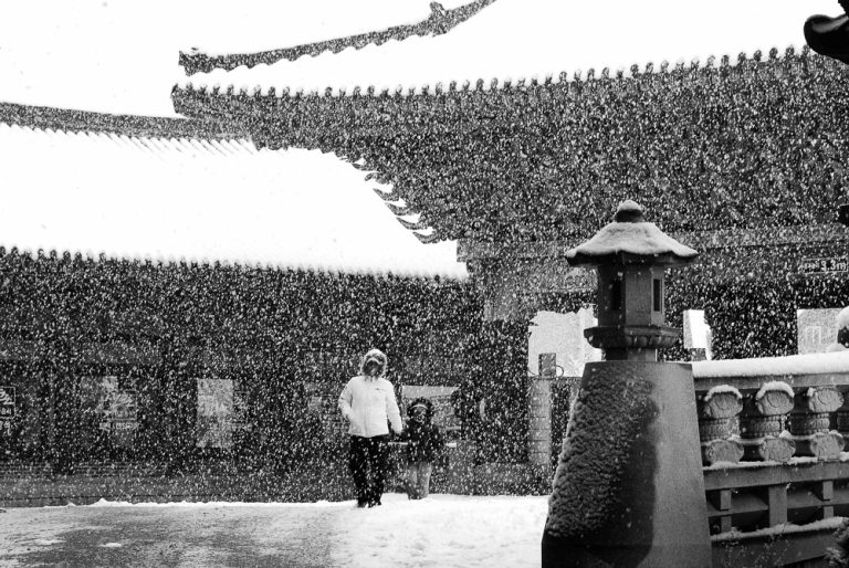 2024 The Korean Gaze Dongjun Kim