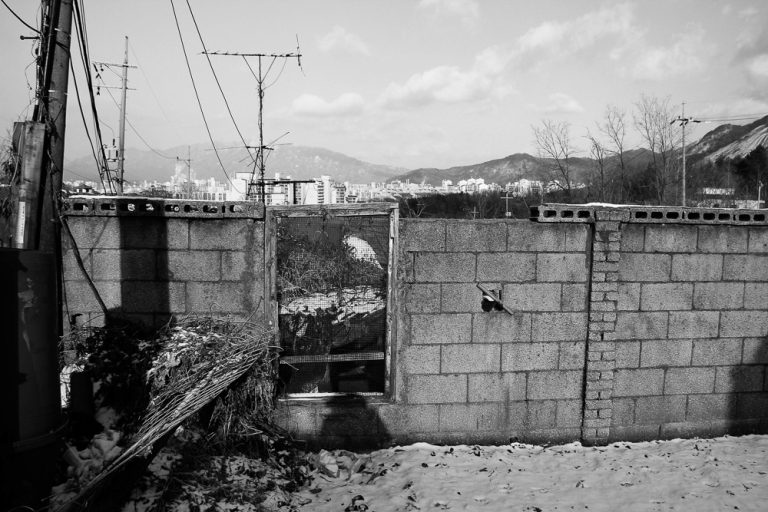 2024 The Korean Gaze Hanyoul Lee